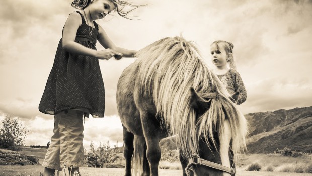 Animal attraction and human animal interaction