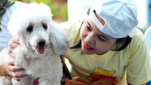 Autism assistance dogs