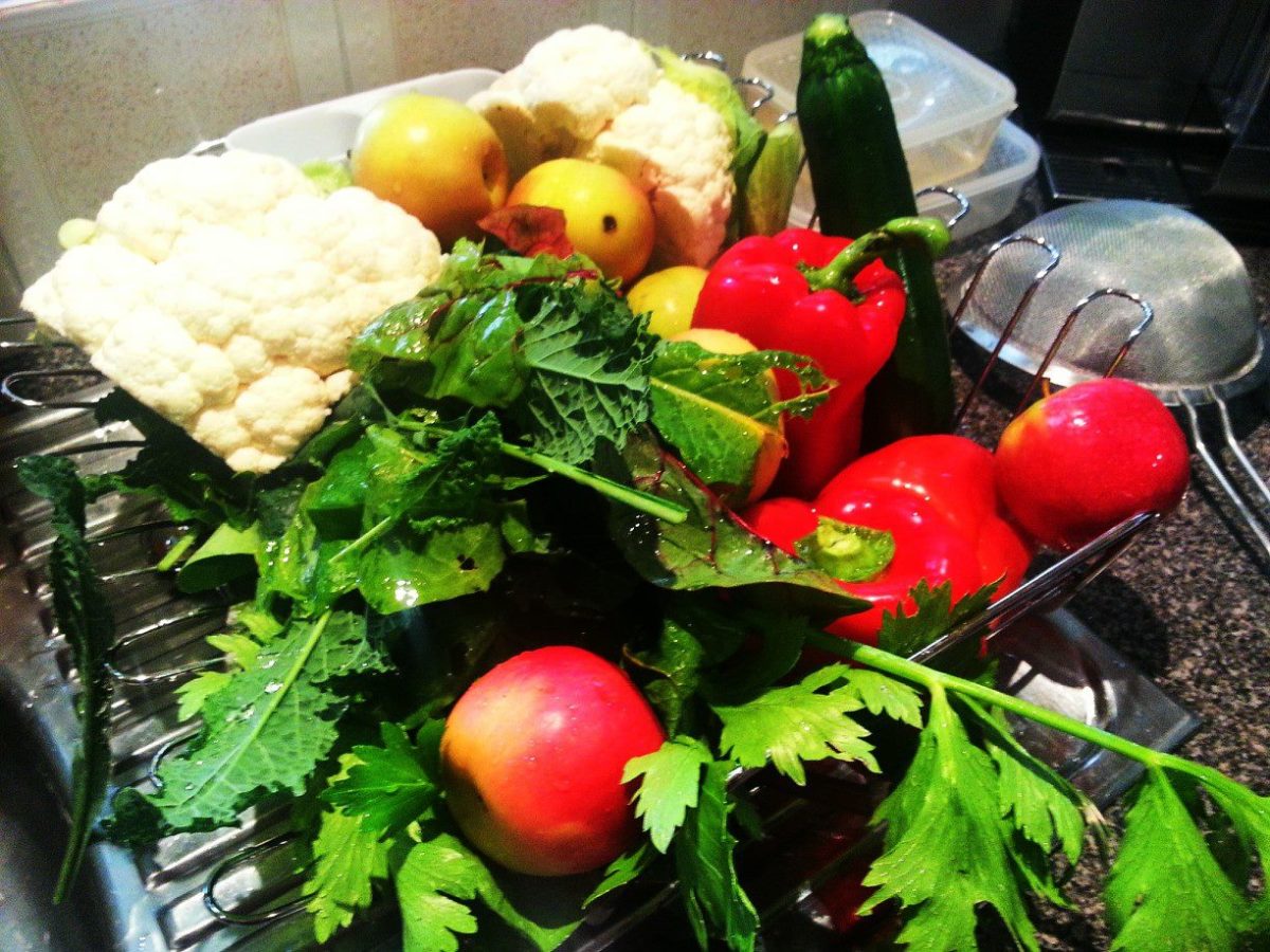 Organic Pest Management
